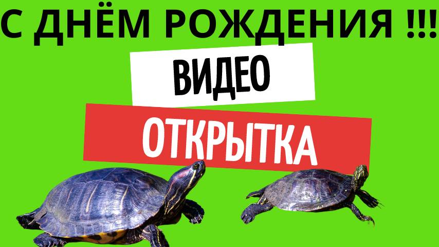Видео открытка на день рождения