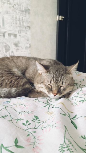 Прости мой старый друг 😁 #shorts