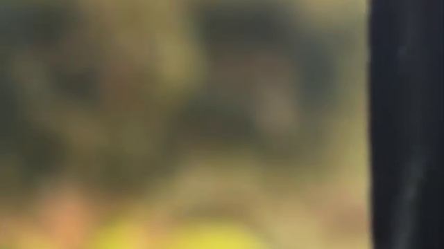 telegram-cloud-document-2-5289601899786433515