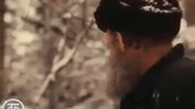 Уссурийский тигр и человек. в дикой природе и в неволе.