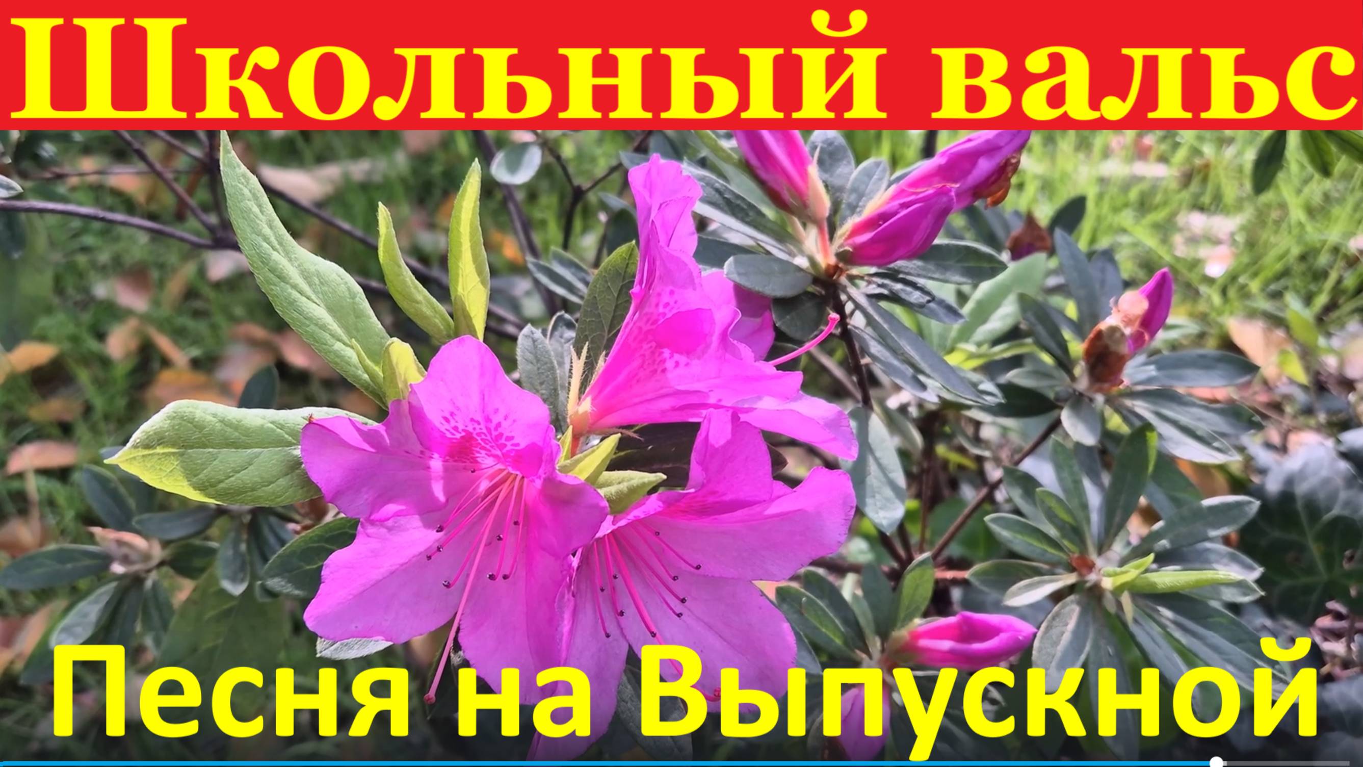 Песня на Выпускной Школьный вальс Последний звонок школа