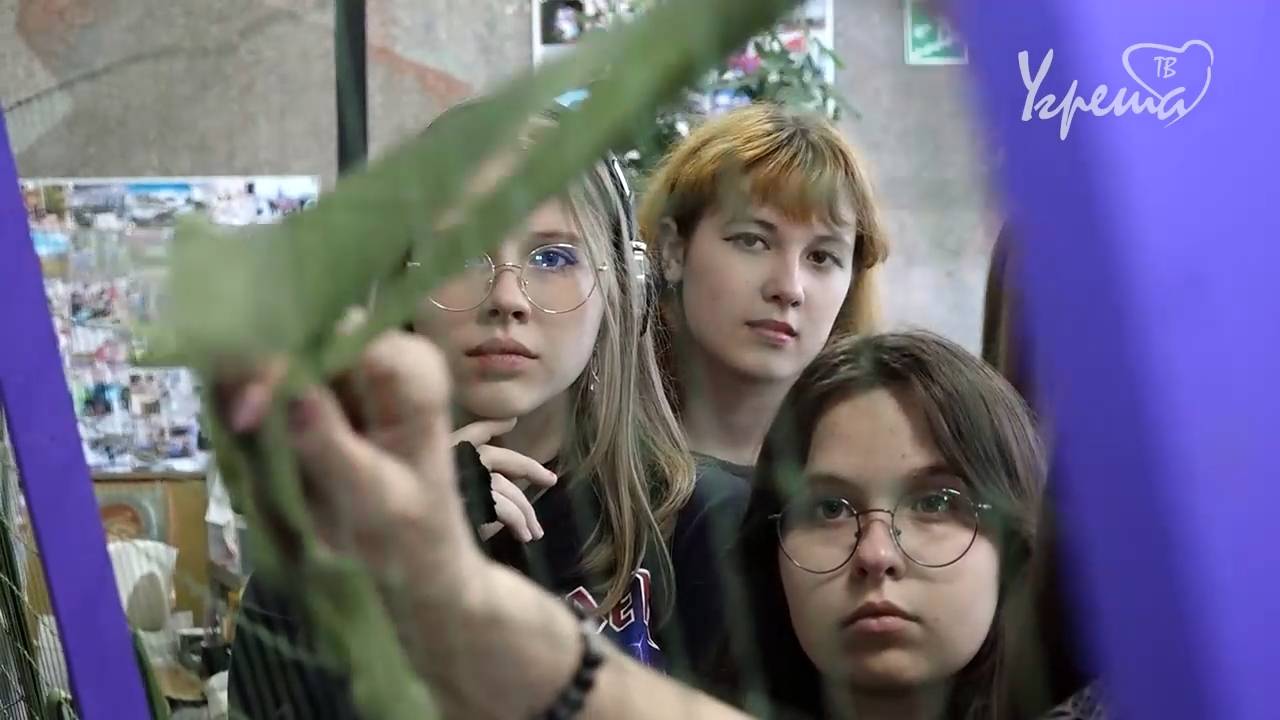 Маскировочные сети от «Лидера»