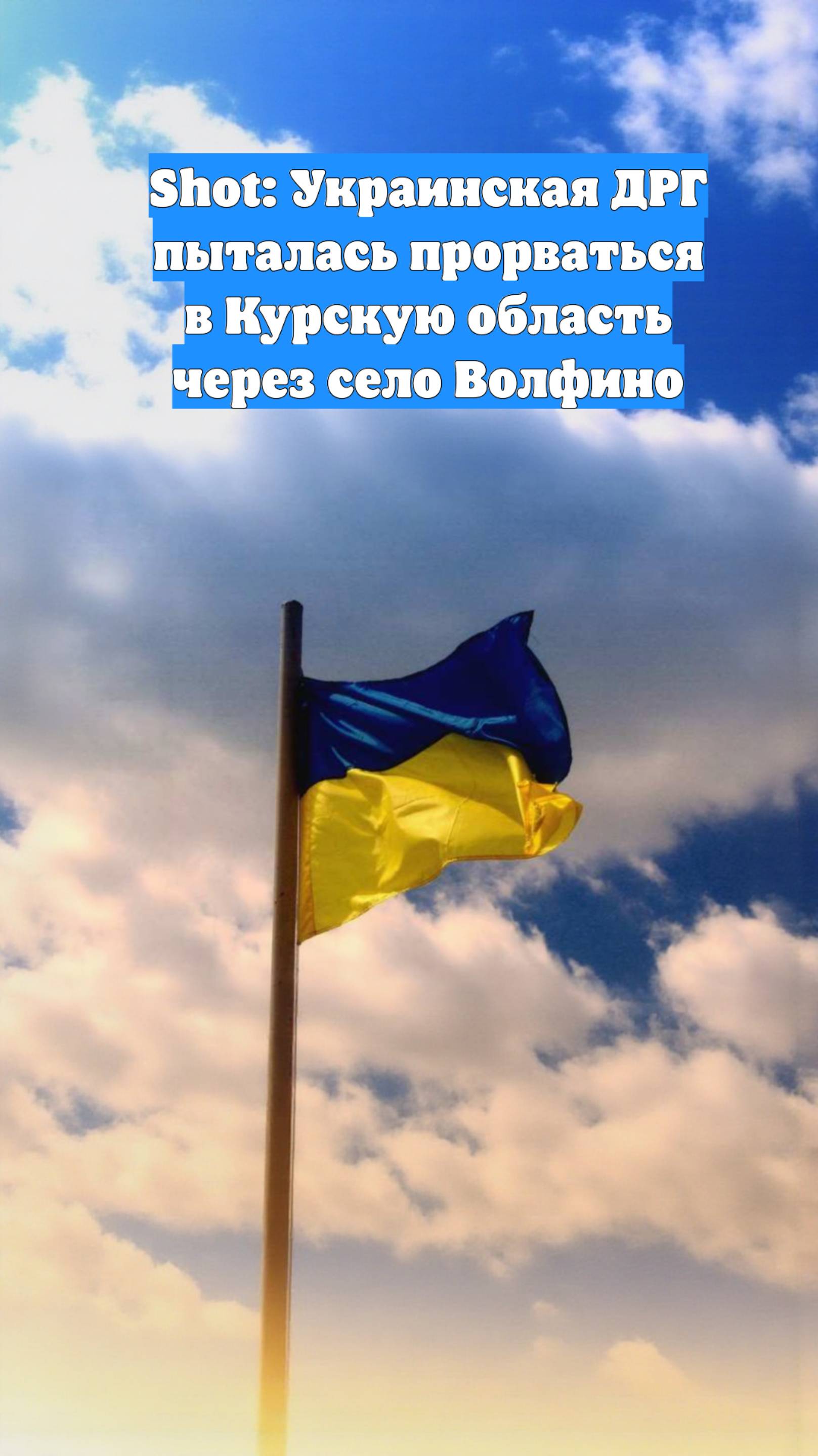 Shot: Украинская ДРГ пыталась прорваться в Курскую область через село Волфино