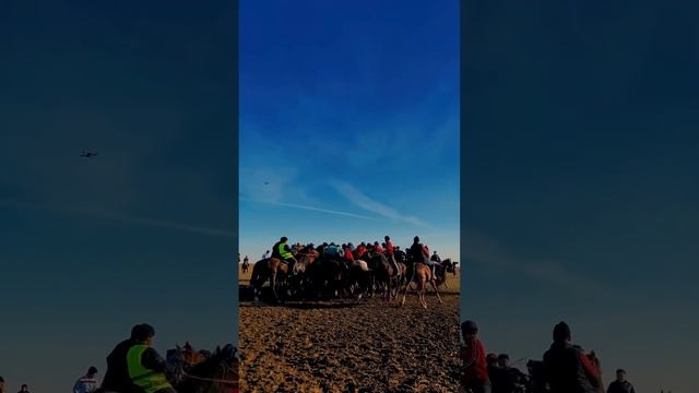 Көкпар бергің келіп тұрса-Хабарласып тұр,білесің мекен жайымды📲📞