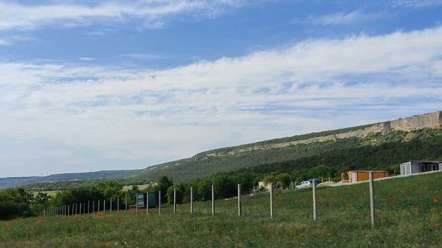 Цветочные поляны в КРЫМУ.Приезжайте сюда для фотосесс