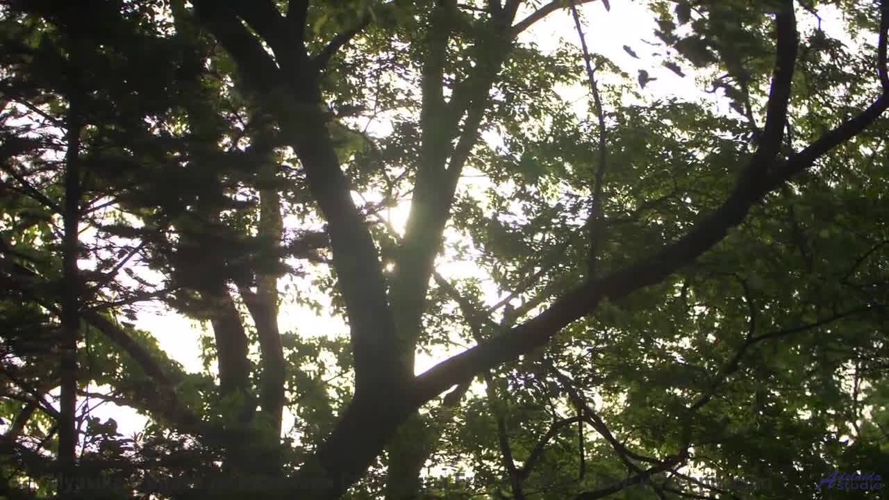 Поля вспыхивают красками, когда играет такой ритм - Wiki Leads -- M33 Project -- Strange Things