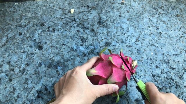 How to grow mutant roses in plastic bottles│Размножение роз