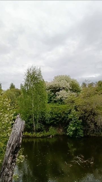 прогулка