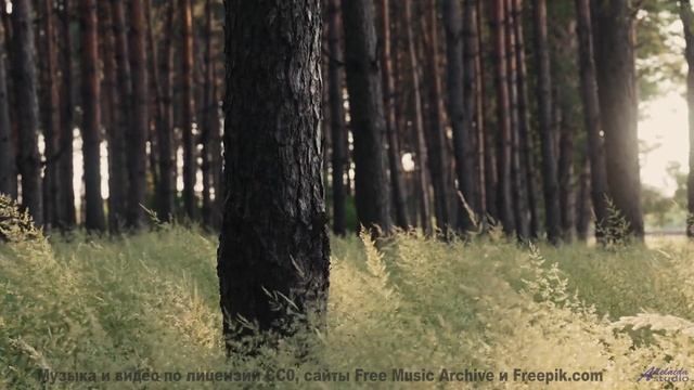 Музыка несёт туда, где слова бессильны - Pastures -- Ketsa -- As Above So Below