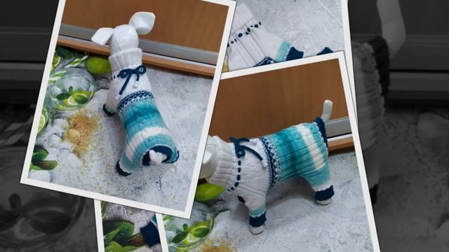 комбинезон с шапкой на собаку вязаный