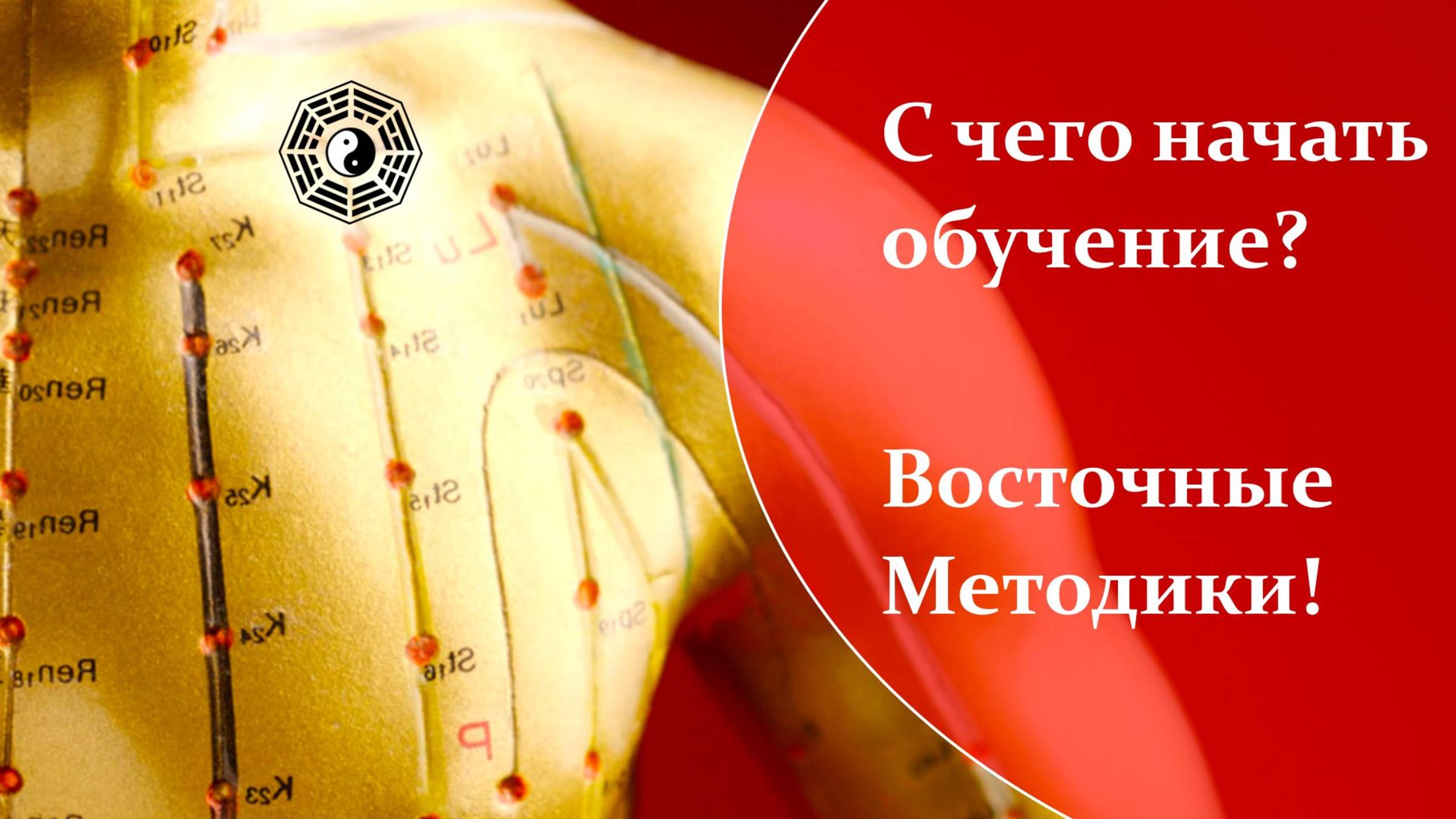 521 С чего начать обучение 08