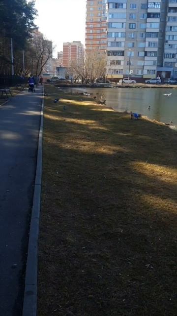 Прогулка