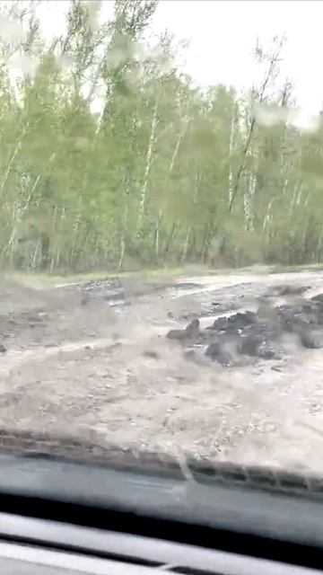 Узнаёте эту дорогу не далеко от Омска