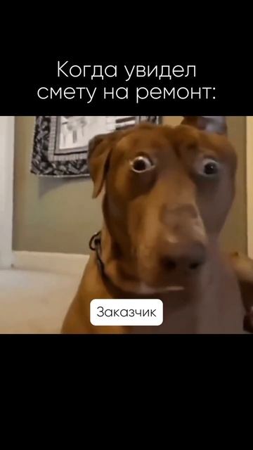 Когда увидел смету на ремонт 🙄
