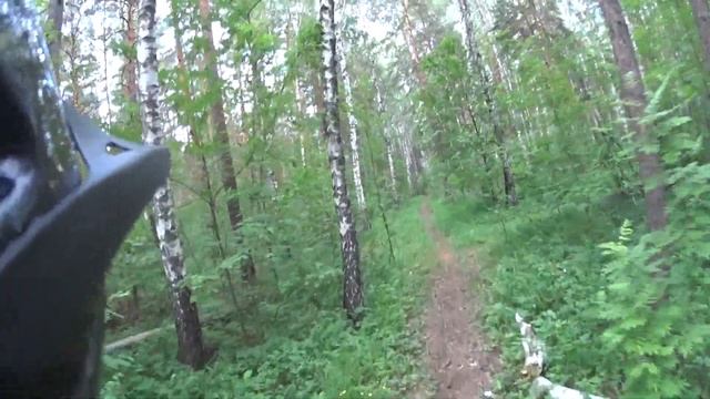 Покатушки на NAVEE N65i по лесу и по асфальту