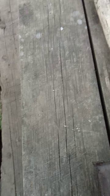 Две лопаты - два помощника.mp4