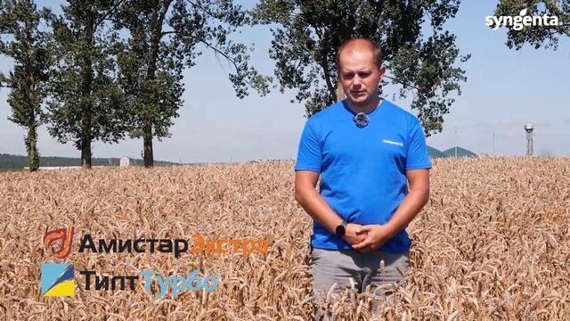 Защита пшеницы продуктами Сингента. Отзыв главного аг