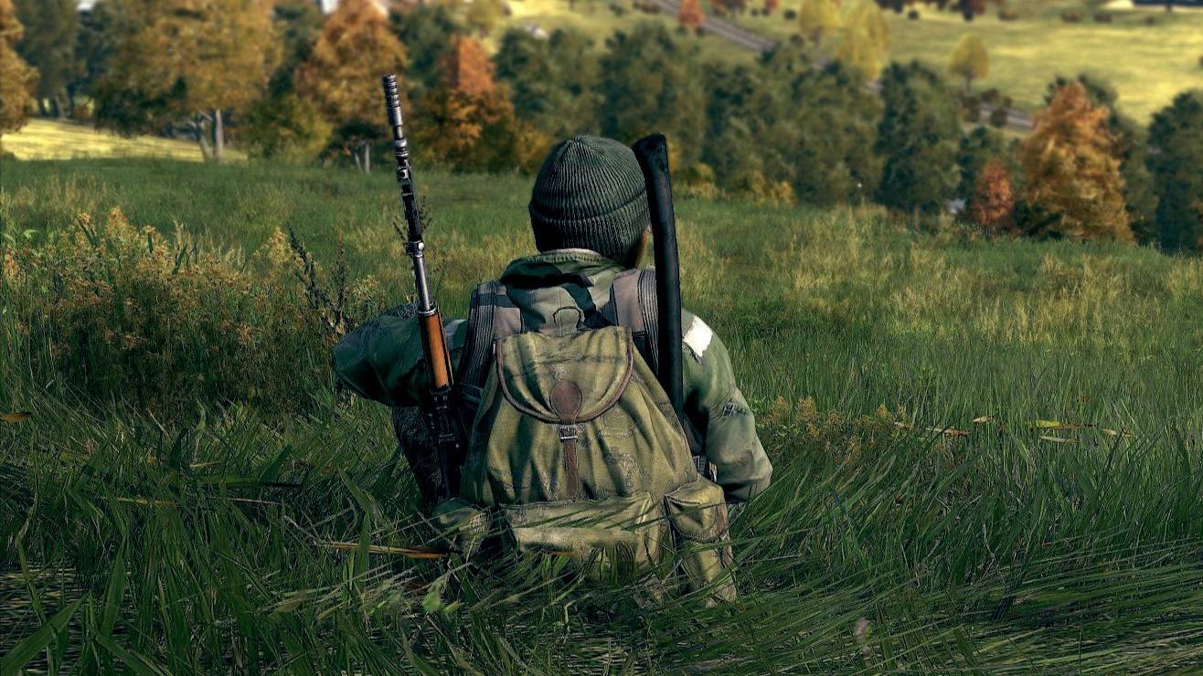 DayZ