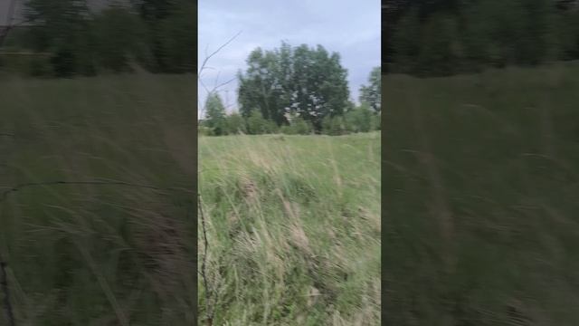 1000084976.mp4