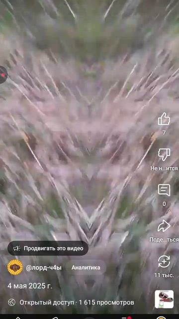 1000030330.mp4