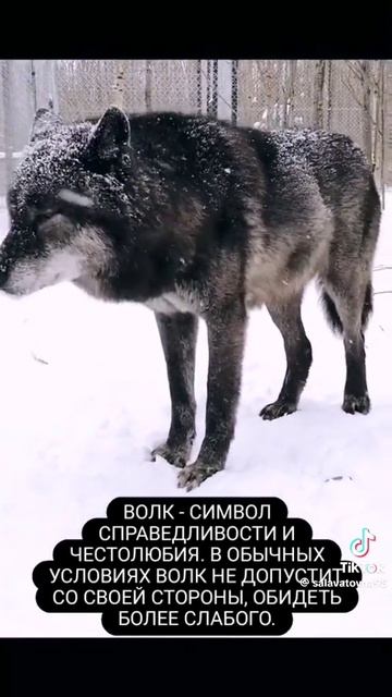 БАШКОРТ