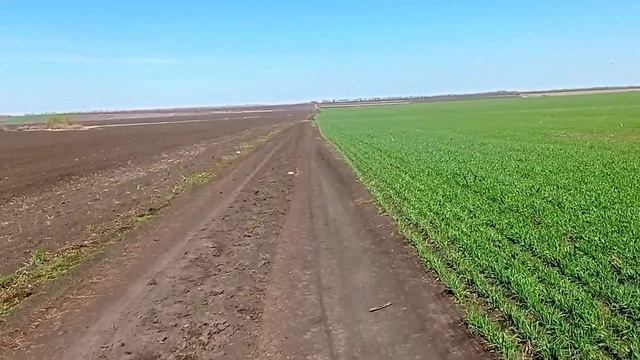 Иж Юпитер4 и Планета4.Страная работа правой выхлопной ?