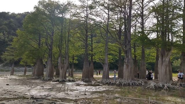 Кипарисовое озеро. Сукко, май