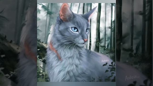 Красивые картинки котов-воителей из Яндекса