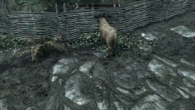 Skyrim. Коза шагает в забор
