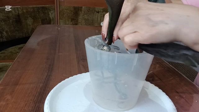 Омоложение КАМЕННОЙ РОЗЫ