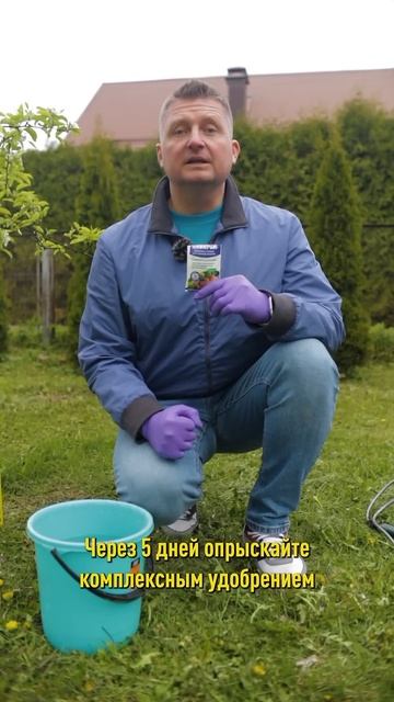 Деревья и кустарники почернели от заморозков? Сделайте так, чтобы помочь им выжить!