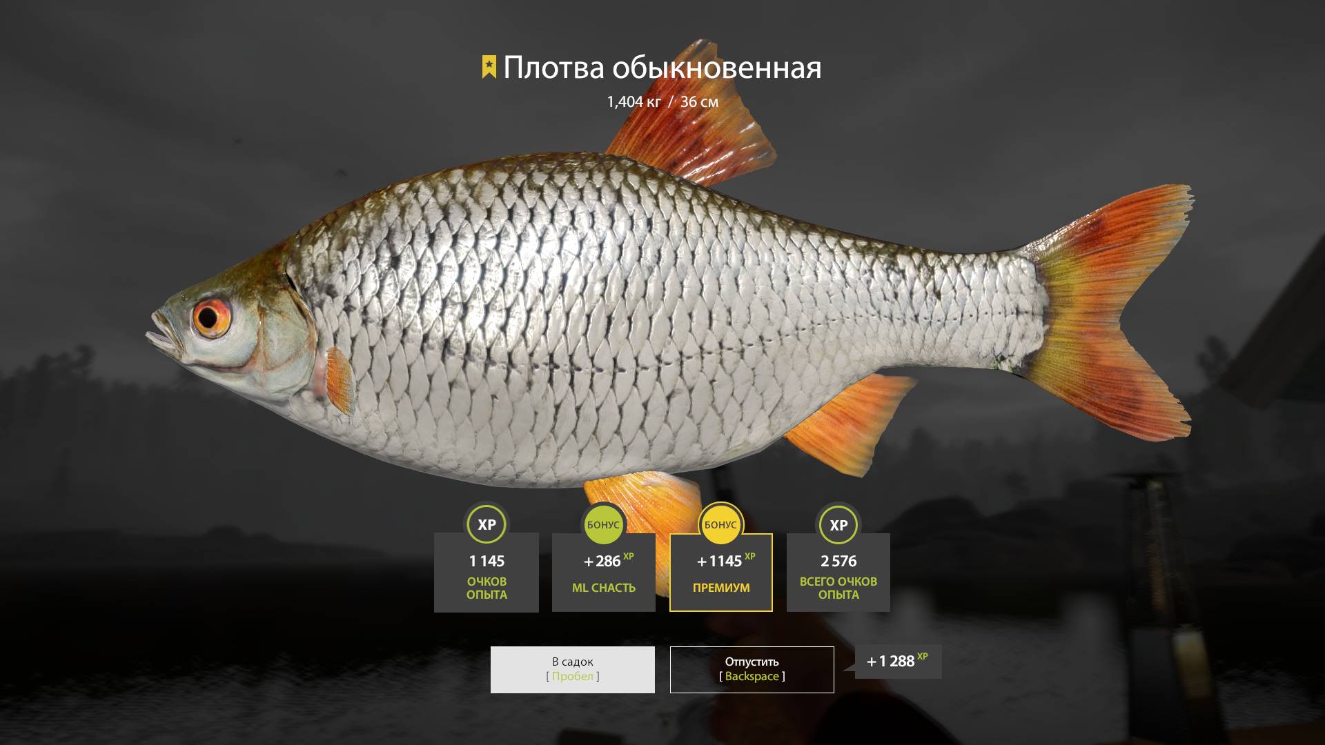 Русская рыбалка 4 р. Волхов