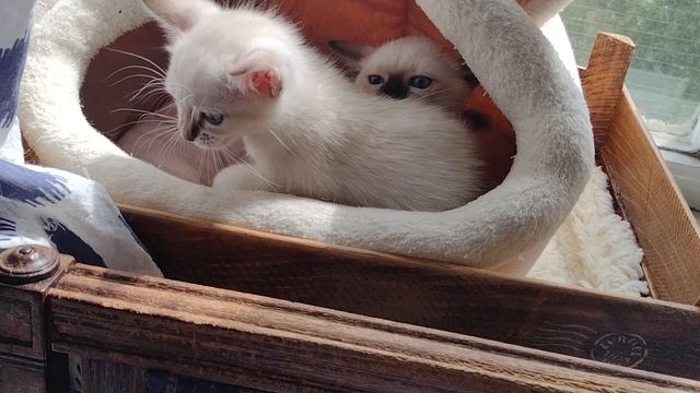 Ой, больно, не кусайся