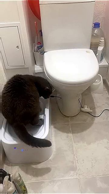 Спалился