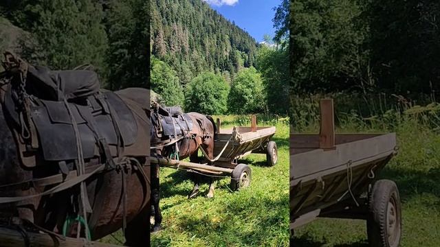 АРХЫЗ. Видео Надежды Деевой