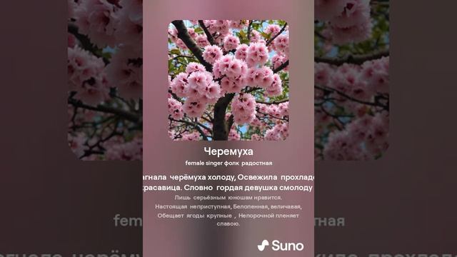 Черемуха 5 Стихи Галина Бабенко