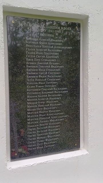 Памятник ВОВ в с. Яблонка Вадский район #россия #памятник #война #память