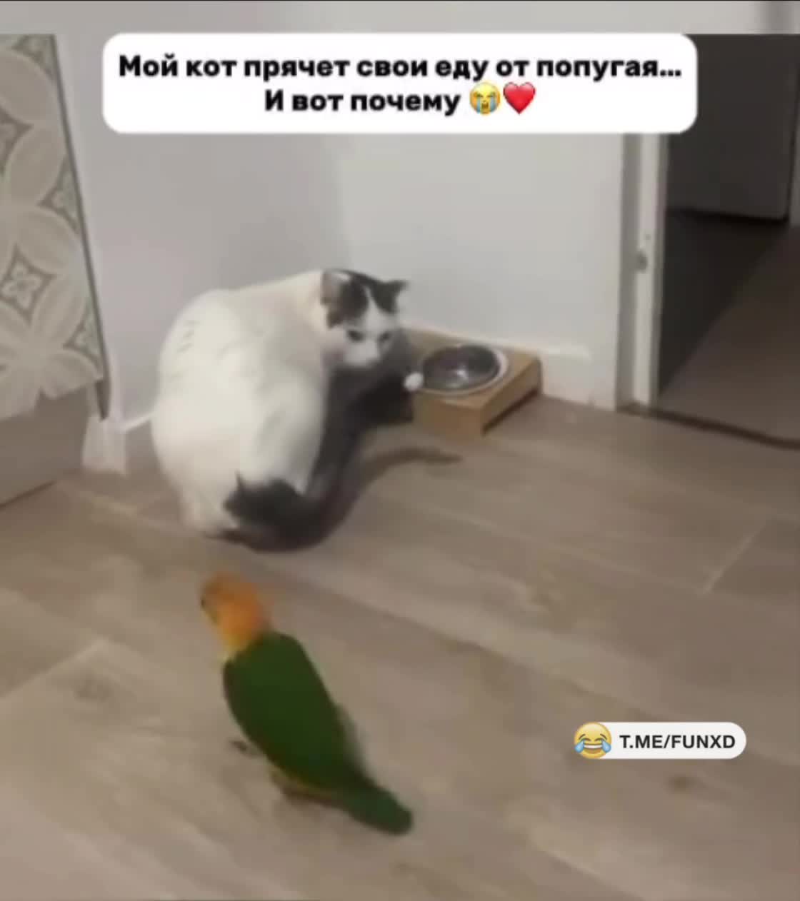 Отжал😆