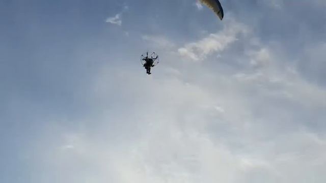 Гусак на бреющем !