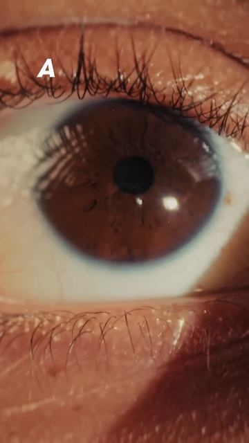 vivo X200 Pro VS Sony Full Frame with Macro Lens - Guess which is which 🤔