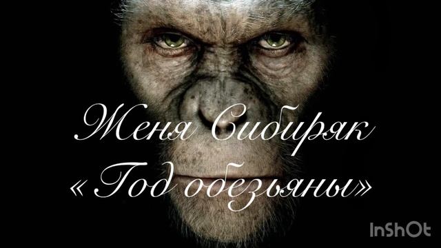Женя Сибиряк «Год обезьяны»