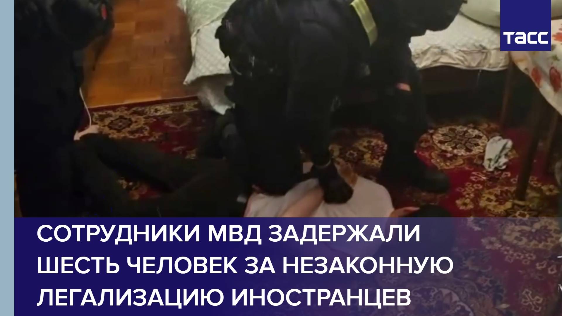 Сотрудники МВД задержали шесть человек за незаконную легализацию иностранцев