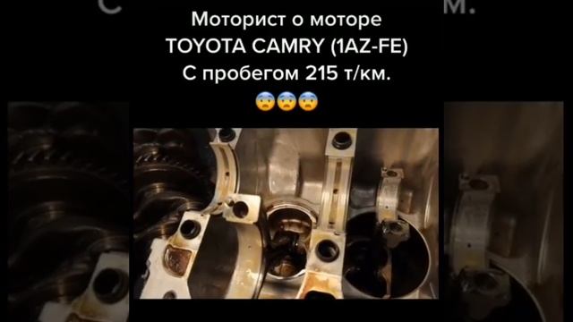 Тоета на 5w40