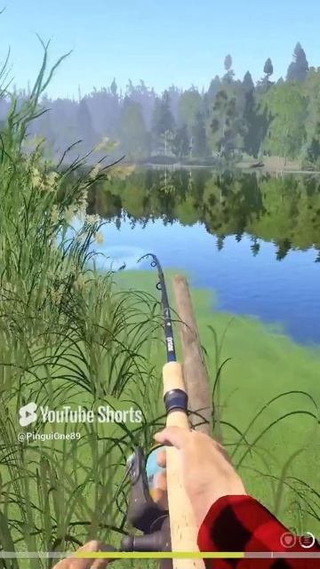 Щучка)