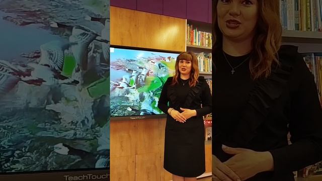 Где у птицы компас?