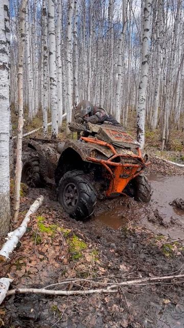 Квадрик