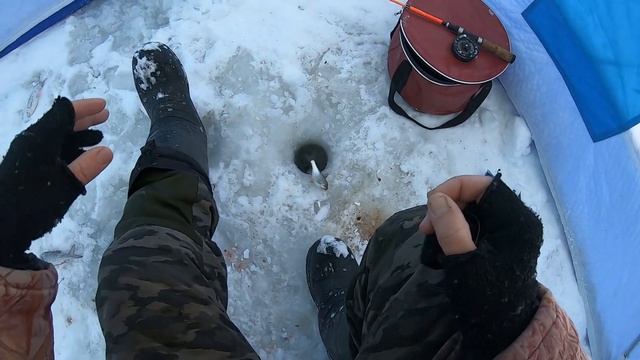 рыбалка  ловля  плотвы на реке илеть, мини обзор мотосо