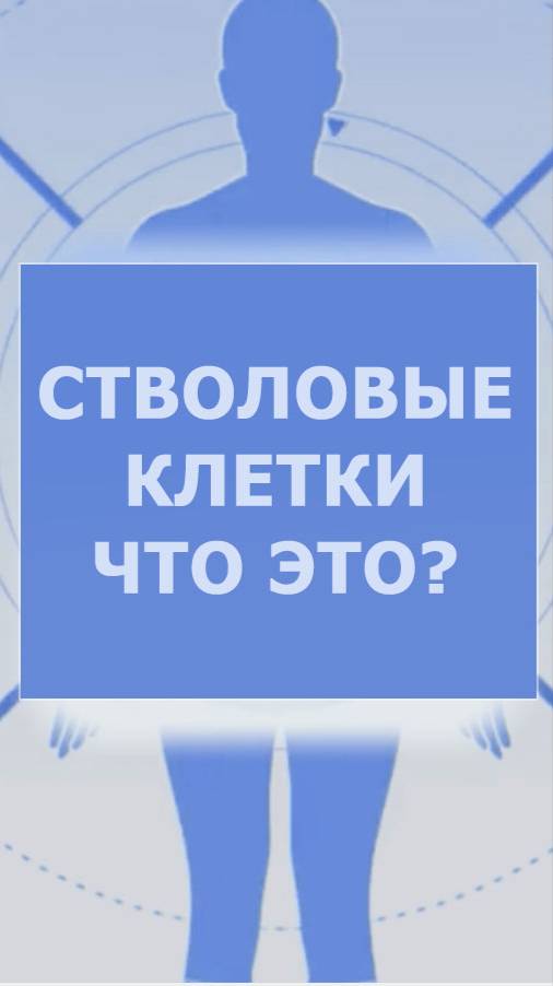 Стволовые  клетки что это