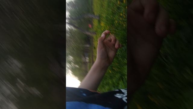ПРЯТКИ 2часть.