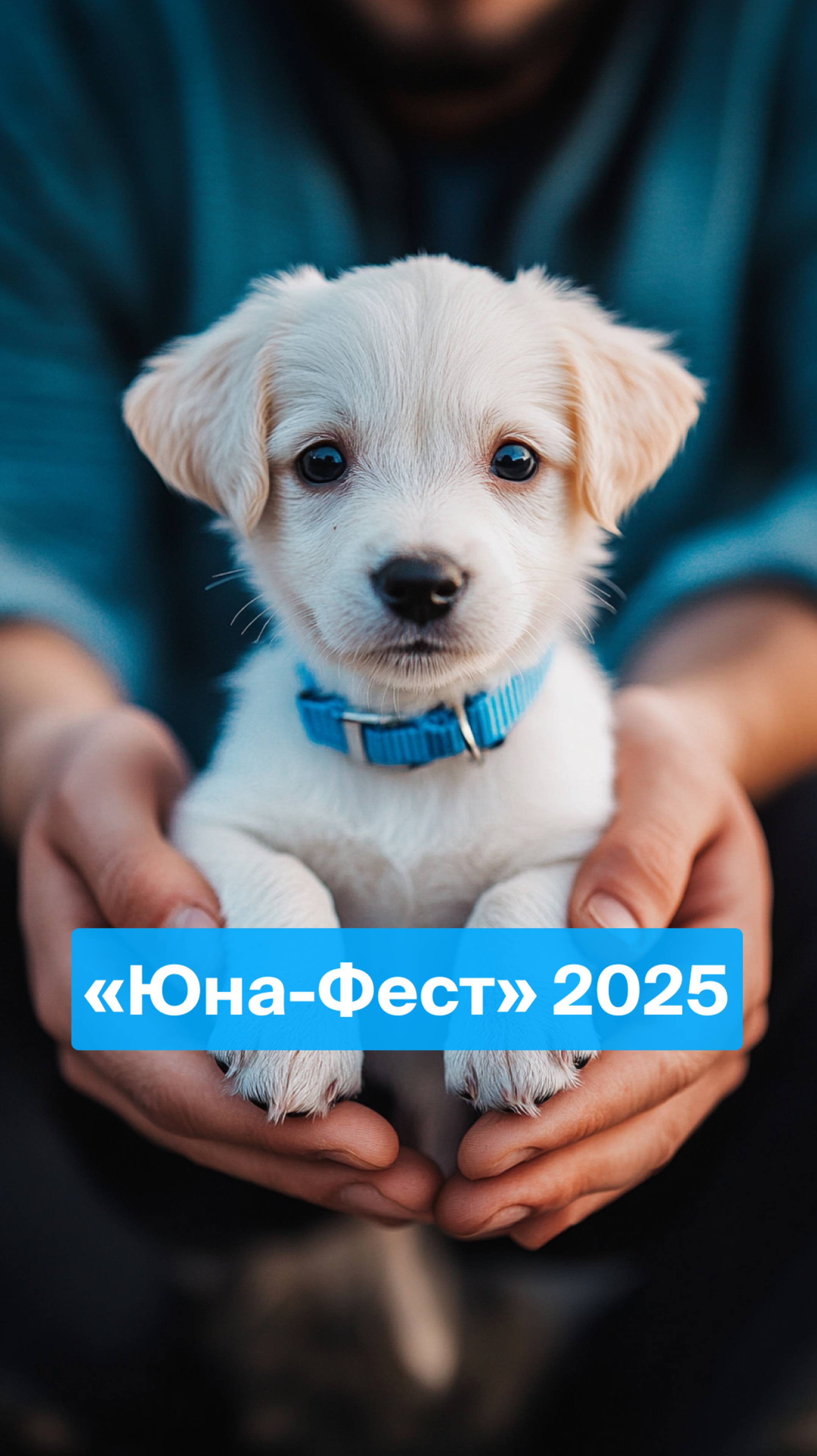 В Москве провели выставку-пристройство «Юна-Фест» 🐈🐕